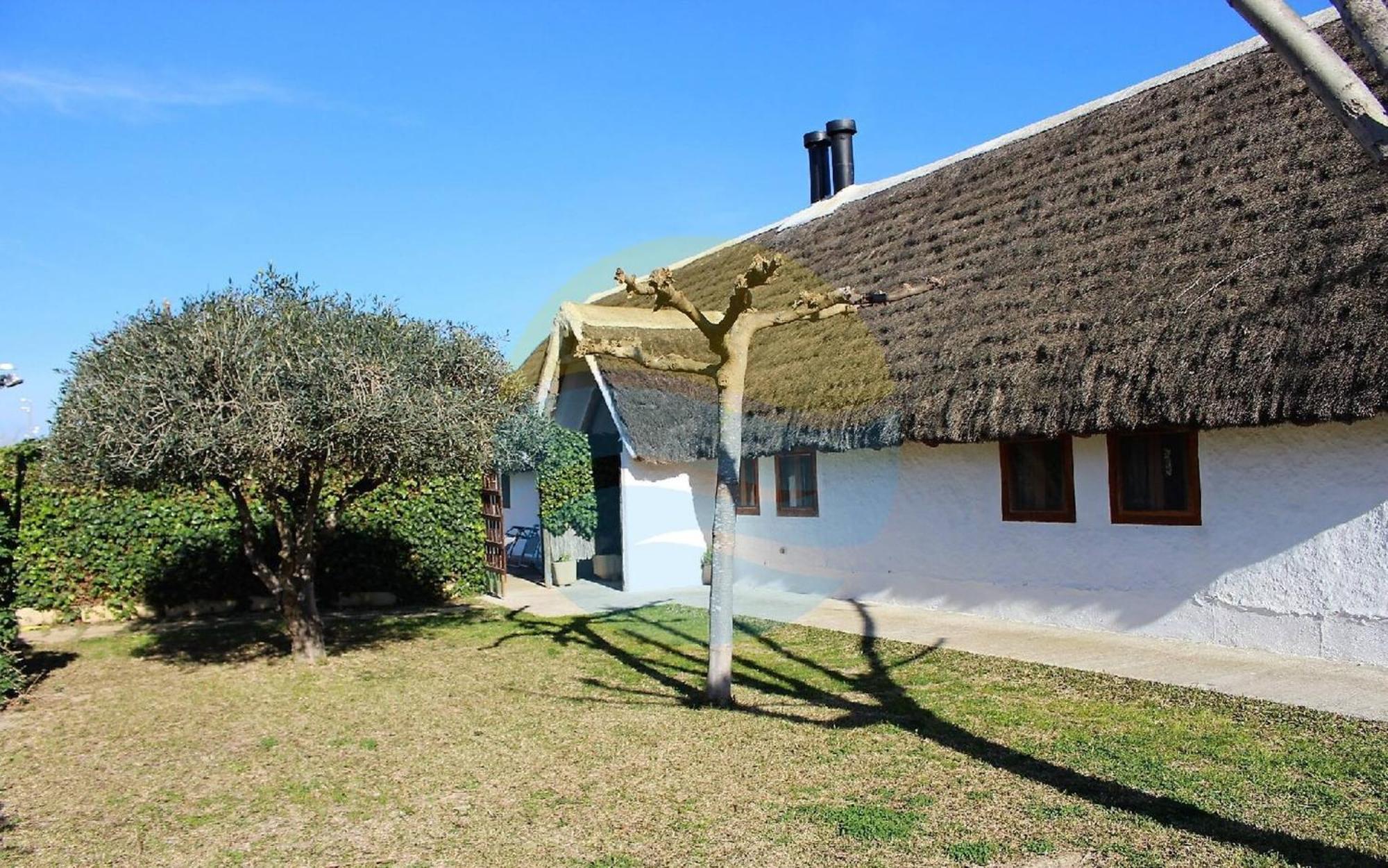 Barraca Tipica Del Delta, Con Piscina, Jardin Y Barbacoa - Deltavacaciones Villa แซนต์ โจเม เดินเวจา ภายนอก รูปภาพ
