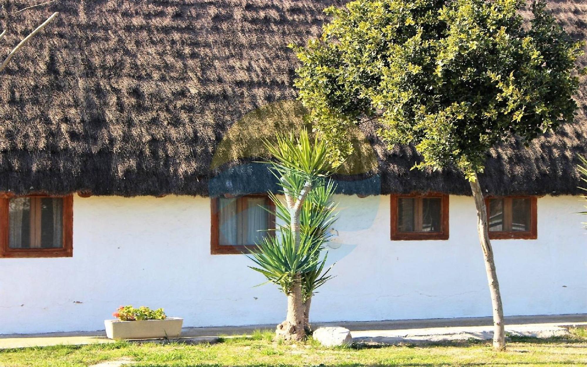 Barraca Tipica Del Delta, Con Piscina, Jardin Y Barbacoa - Deltavacaciones Villa แซนต์ โจเม เดินเวจา ภายนอก รูปภาพ